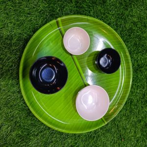 acrylic bowl